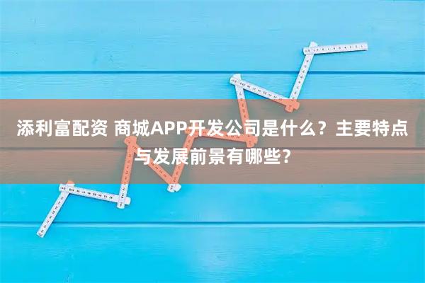 添利富配资 商城APP开发公司是什么？主要特点与发展前景有哪些？