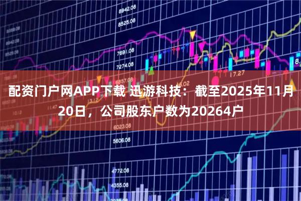 配资门户网APP下载 迅游科技：截至2025年11月20日，公司股东户数为20264户
