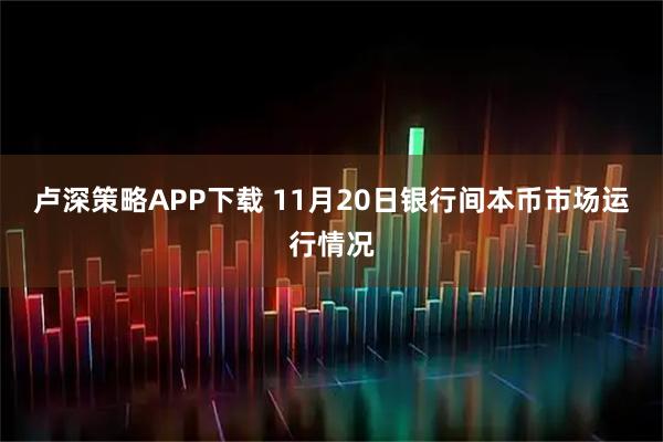 卢深策略APP下载 11月20日银行间本币市场运行情况
