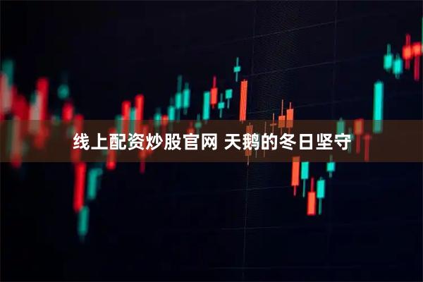 线上配资炒股官网 天鹅的冬日坚守